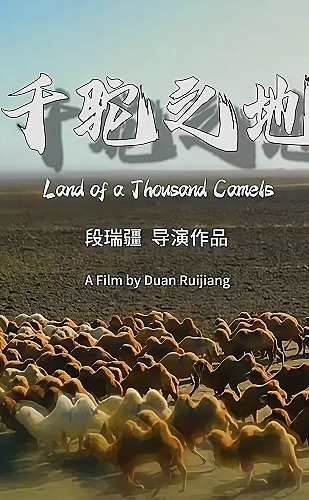 黄果短剧《消失的第七页》悬疑推理封面